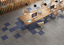 Balanced Hues на акустической основе Echo Acoustic 954 фото 2 | FLOORDEALER